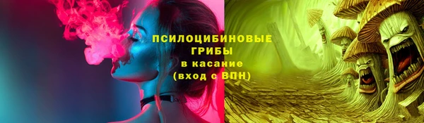 сатива Протвино